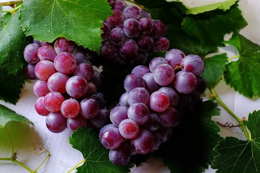 grapes_2