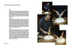Book - Gennaro Italian Bakery By Gennaro Contaldo