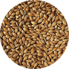 Malt-Single_Medium-Crystal-240-Malt-796-x-796.png