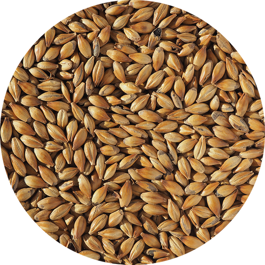 Malt-Single_Medium-Crystal-240-Malt-796-x-796.png