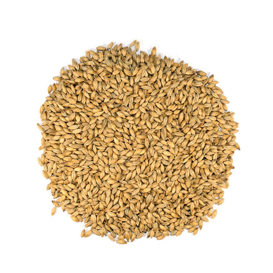 Maris-Otter.jpg