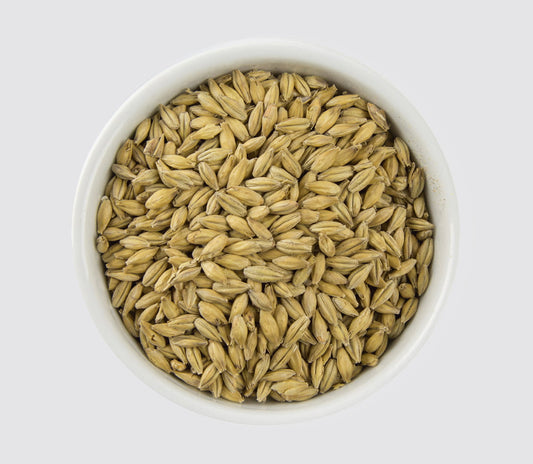 Planet-Extra-Pale-Ale-Malt-1.jpg