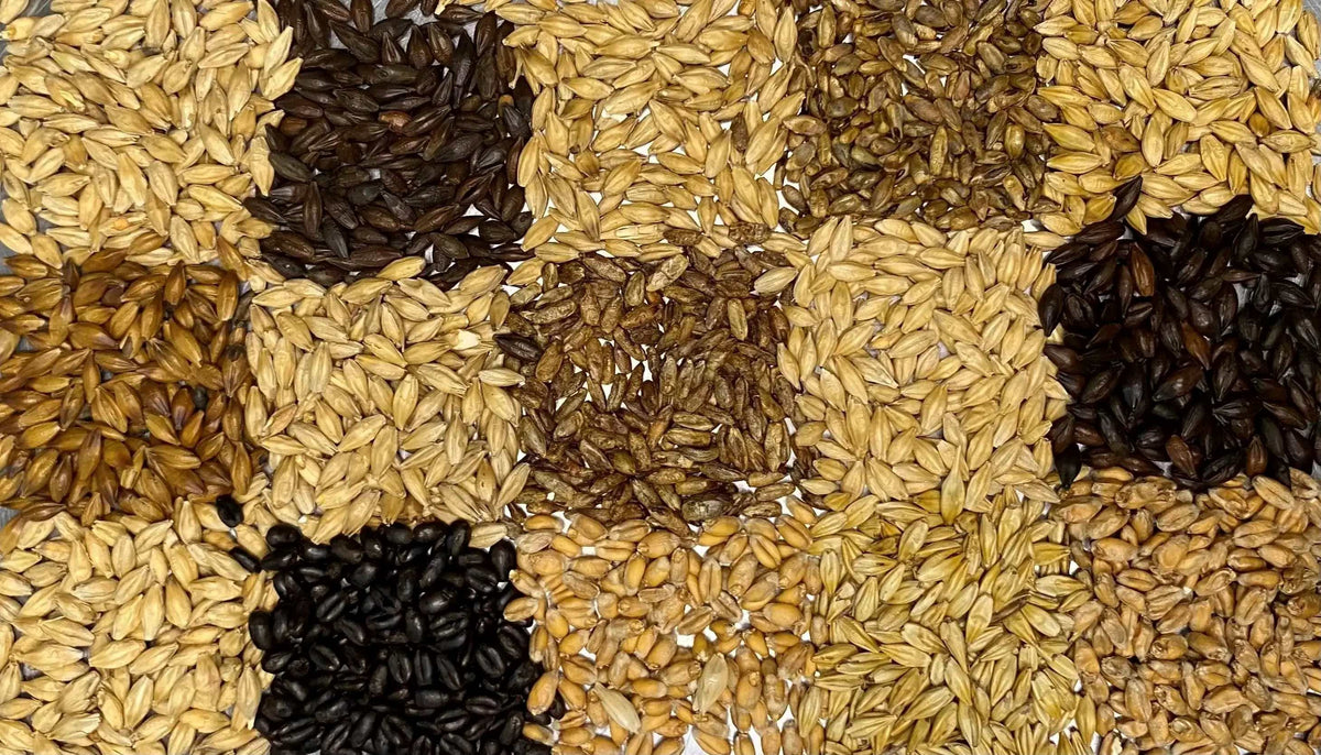 Malted barley and specialty grains for a custom grain bill