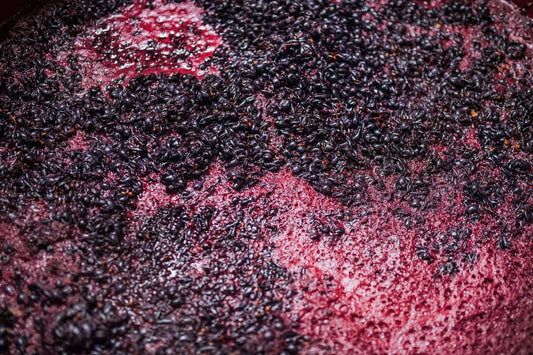 fermentation-of-grape-must-winemaking-concept-top-KHZAJP6
