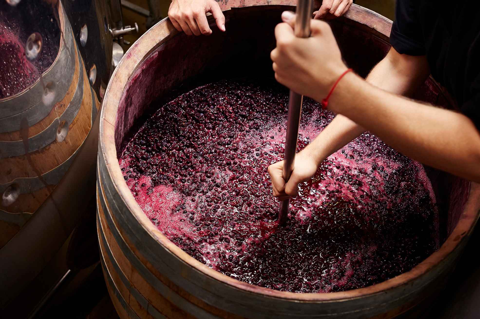 Wine Making