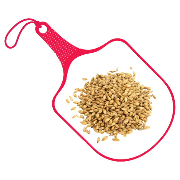 Malt & Grains (cracked + uncracked)