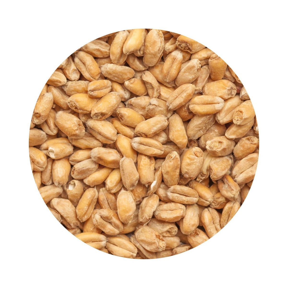 Heidelberg Malt 100g