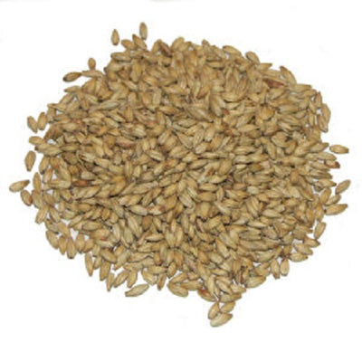 Signature Ale Malt Grain 100g