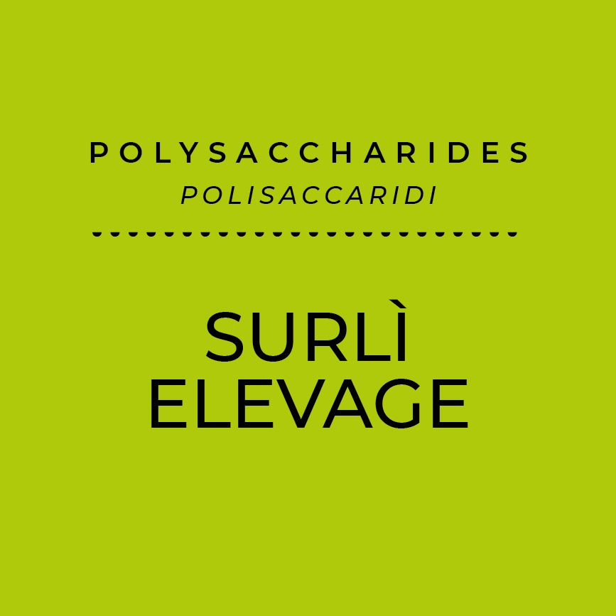Surli Elevage