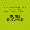 Surli Elevage