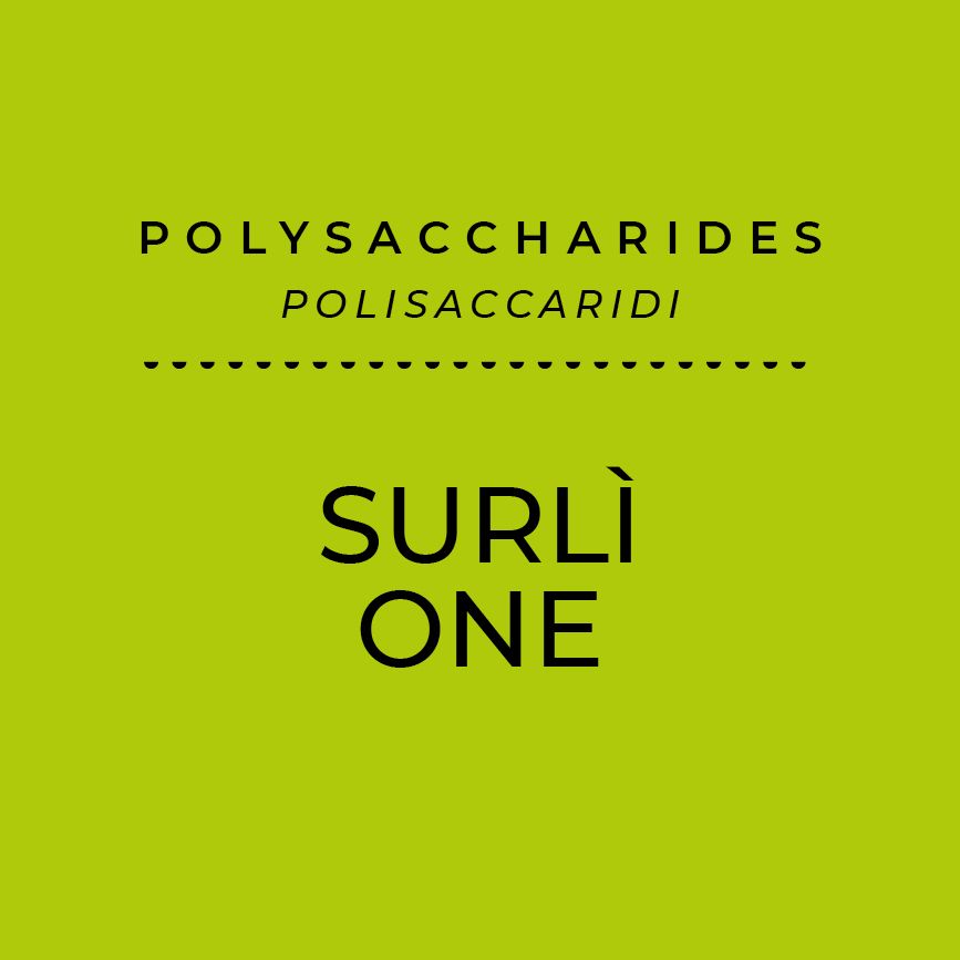 Surli One