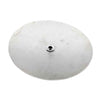 Stainless Steel Dome False Bottoms
