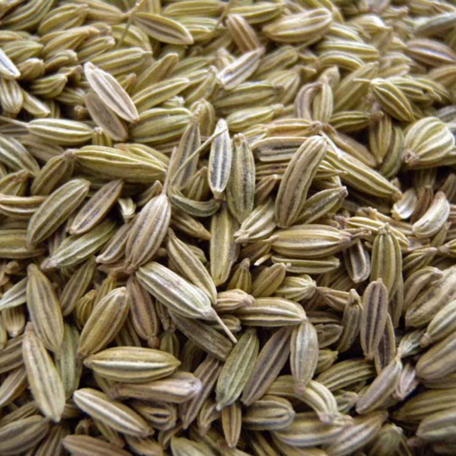 Fennel seeds