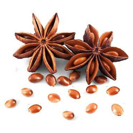 star aniseed