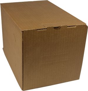 Packaging carton for bag in box