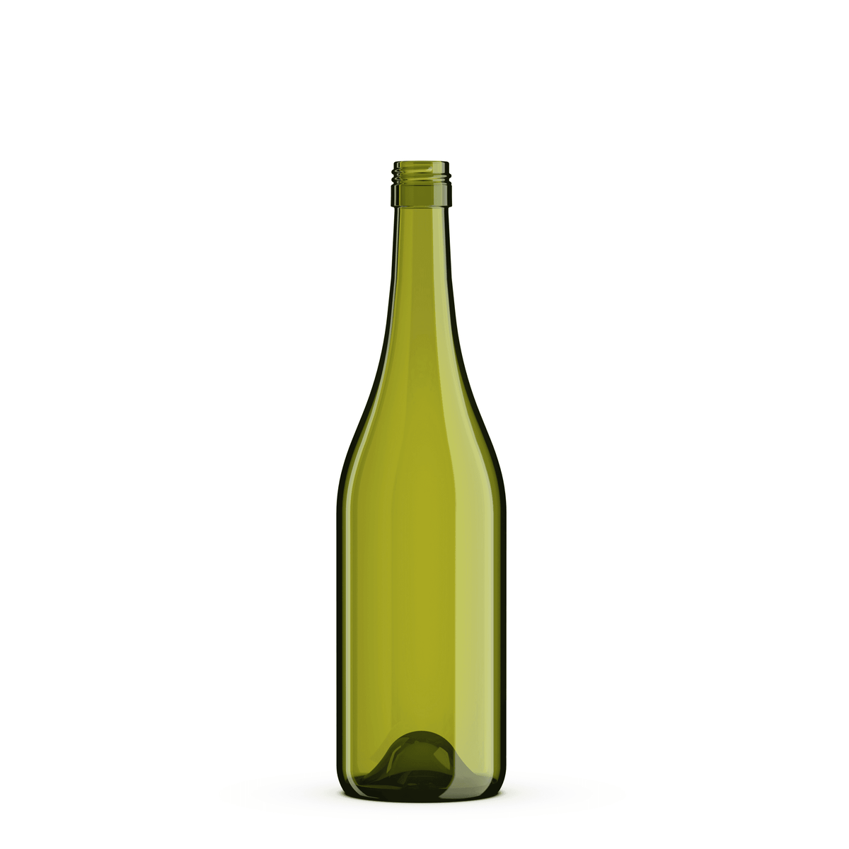 750ml Wine Bottle BVS Burgundy French Green Punted