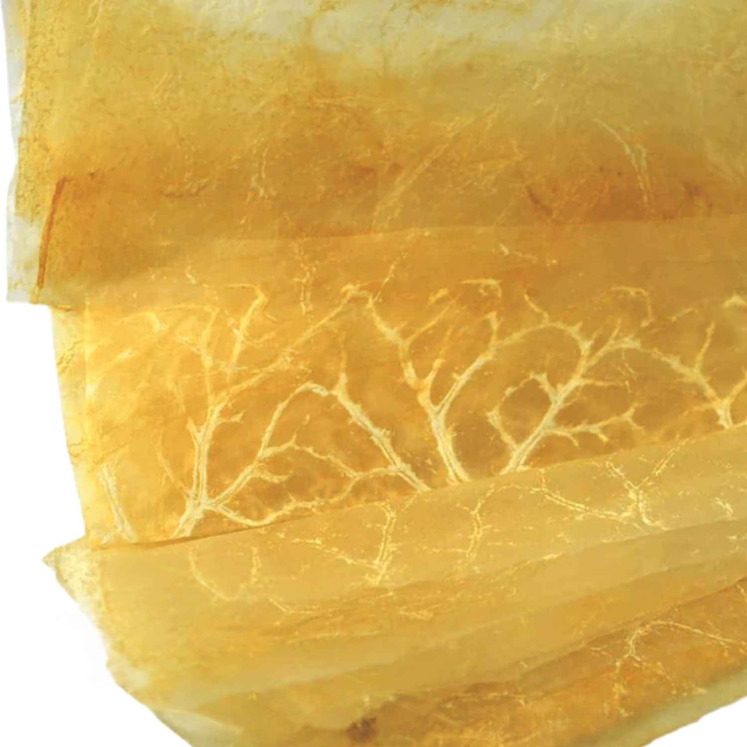 collagen_wrap_sheet_casing_