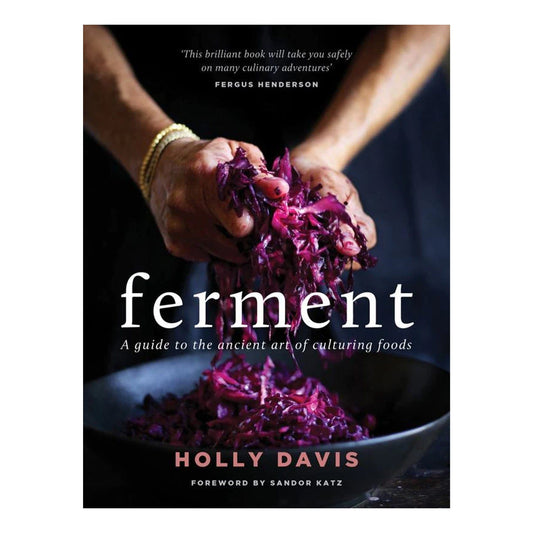 Book - Ferment by Holly Davis