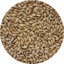 Pale Malt 100g