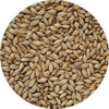 Pale Malt 100g