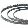 Carnivore Collective Band Saw Replacement Blade