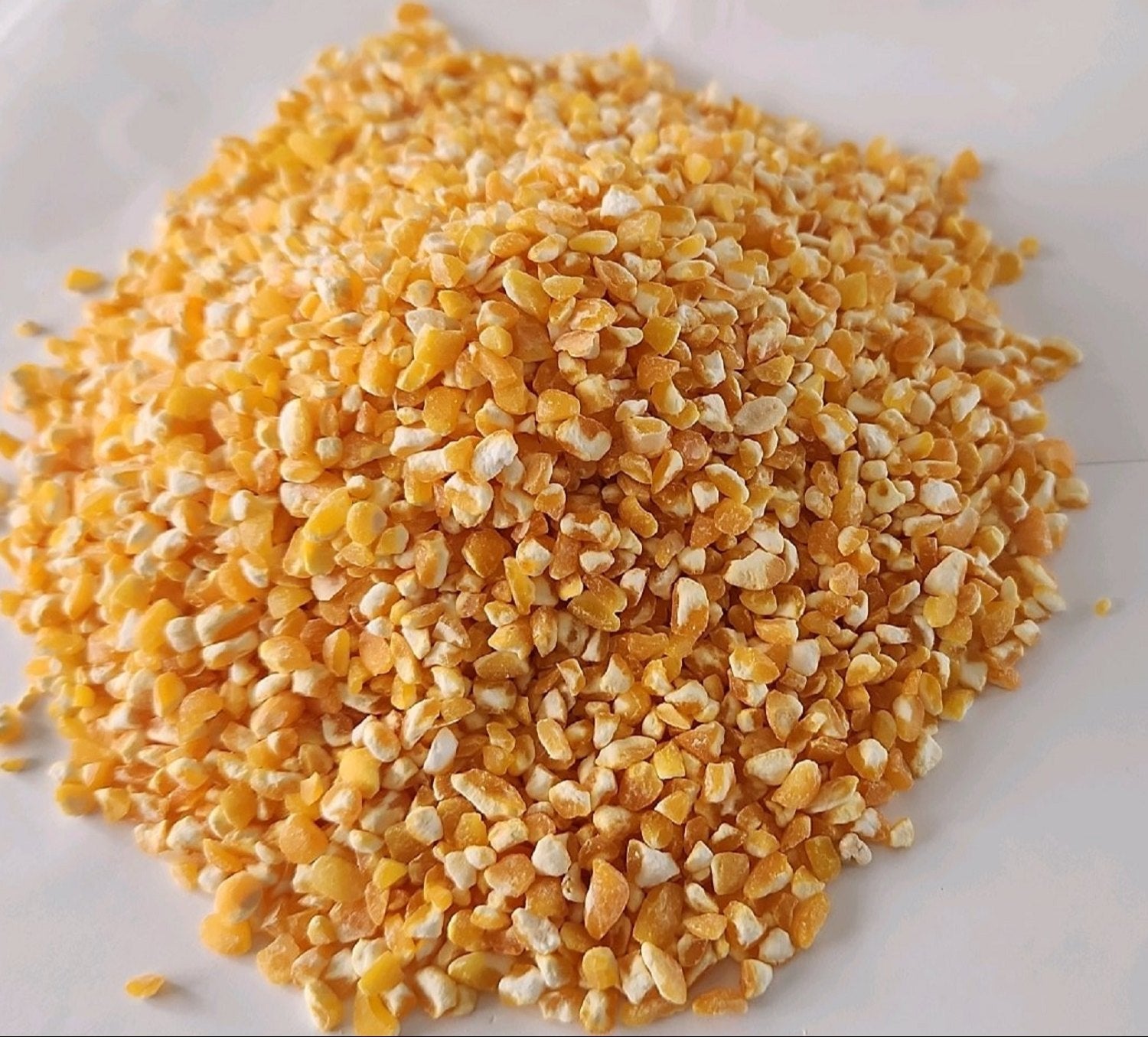 Corn Maize Grits Pieces 100g
