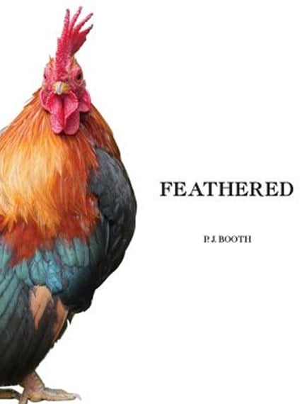 Book – Feathered By P.J. Booth