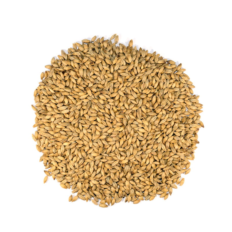 Maris-Otter.jpg