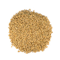 Maris-Otter.jpg