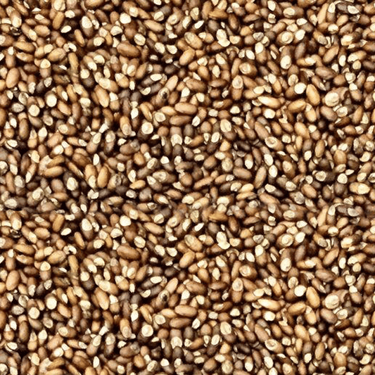 products-rosemary_seeds.png